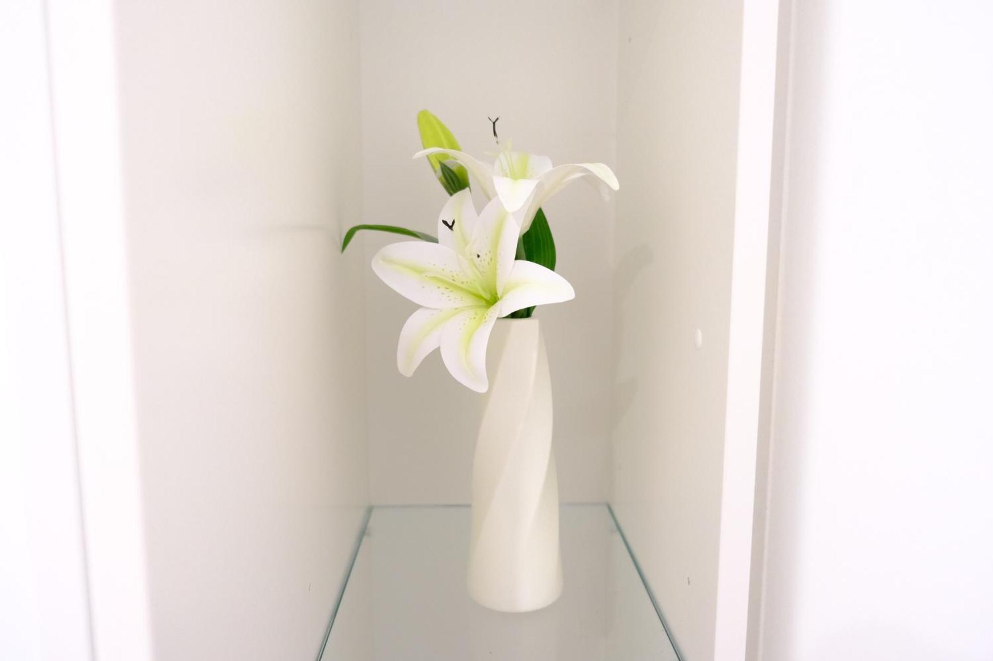 Apartmán Cbd Japanese Retreat 2Br 1P Brekky Wifi Netflix Canberra Exteriér fotografie